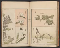 An illustration from Hokkei manga : shohen (1800)