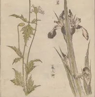 An illustration from Hokkei manga : shohen (1800)