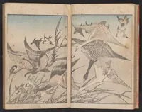 An illustration from Hokusai gafu (1800)