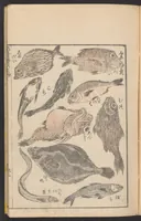 An illustration from Hokusai manga. Nihen, yonhen, gohen, shichihen, kyuhen, junihen (1600)