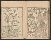 An illustration from Hokusai manga. Nihen, yonhen, gohen, shichihen, kyuhen, junihen (1600)