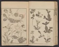 An illustration from Hokusai manga (1600)