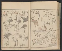 An illustration from Hokusai manga (1600)