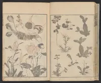 An illustration from Hokusai manga (1600)