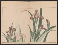 An illustration from Hokusai shasin gafu (1814)