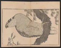 An illustration from Hokusai shasin gafu (1814)