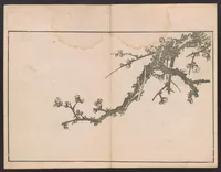 An illustration from Hokusai shasin gafu (1814)