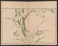An illustration from Hokusai shasin gafu (1814)