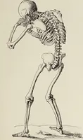 An illustration from Holbeins Totentanz und seine Vorbilder (1897)