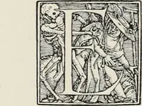 Picture 88 of 138 from Holbeins Totentanz und seine Vorbilder (1897), leaf 195
