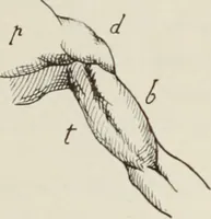 An illustration from Holbeins Totentanz und seine Vorbilder (1897)
