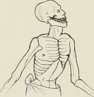 An illustration from Holbeins Totentanz und seine Vorbilder (1897)