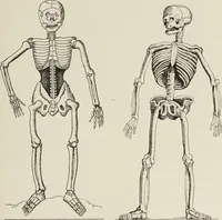 An illustration from Holbeins Totentanz und seine Vorbilder (1897)
