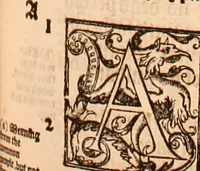 Picture 483 of 756 from The Holie Bible : conteynyng the Olde Testament and the Newe (1568), leaf 1006