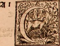 Picture 498 of 756 from The Holie Bible : conteynyng the Olde Testament and the Newe (1568), leaf 1037