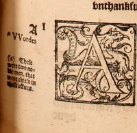 An illustration from The Holie Bible : conteynyng the Olde Testament and the Newe (1568)