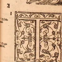 Picture 502 of 756 from The Holie Bible : conteynyng the Olde Testament and the Newe (1568), leaf 1046
