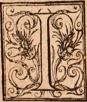 Picture 532 of 756 from The Holie Bible : conteynyng the Olde Testament and the Newe (1568), leaf 1073