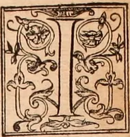 Picture 583 of 756 from The Holie Bible : conteynyng the Olde Testament and the Newe (1568), leaf 1242