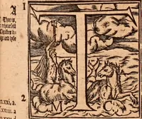 An illustration from The Holie Bible : conteynyng the Olde Testament and the Newe (1568)