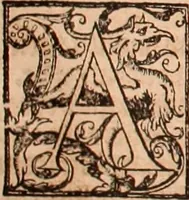 An illustration from The Holie Bible : conteynyng the Olde Testament and the Newe (1568)