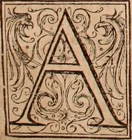 An illustration from The Holie Bible : conteynyng the Olde Testament and the Newe (1568)