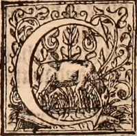 An illustration from The Holie Bible : conteynyng the Olde Testament and the Newe (1568)