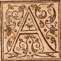 Picture 104 of 756 from The Holie Bible : conteynyng the Olde Testament and the Newe (1568), leaf 165