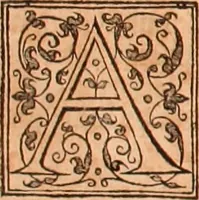 Picture 120 of 756 from The Holie Bible : conteynyng the Olde Testament and the Newe (1568), leaf 199