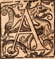 Picture 141 of 756 from The Holie Bible : conteynyng the Olde Testament and the Newe (1568), leaf 242