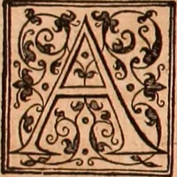 An illustration from The Holie Bible : conteynyng the Olde Testament and the Newe (1568)