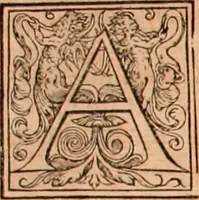 Picture 149 of 756 from The Holie Bible : conteynyng the Olde Testament and the Newe (1568), leaf 255