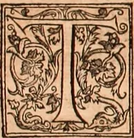 Picture 150 of 756 from The Holie Bible : conteynyng the Olde Testament and the Newe (1568), leaf 257