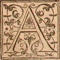 Picture 163 of 756 from The Holie Bible : conteynyng the Olde Testament and the Newe (1568), leaf 281