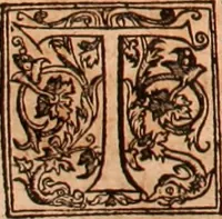 An illustration from The Holie Bible : conteynyng the Olde Testament and the Newe (1568)