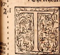 Picture 190 of 756 from The Holie Bible : conteynyng the Olde Testament and the Newe (1568), leaf 332