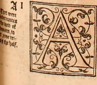 An illustration from The Holie Bible : conteynyng the Olde Testament and the Newe (1568)