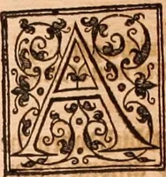 An illustration from The Holie Bible : conteynyng the Olde Testament and the Newe (1568)