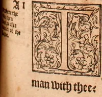 Picture 244 of 756 from The Holie Bible : conteynyng the Olde Testament and the Newe (1568), leaf 412