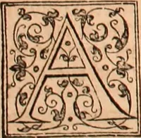 Picture 264 of 756 from The Holie Bible : conteynyng the Olde Testament and the Newe (1568), leaf 445
