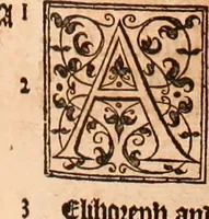 Picture 273 of 756 from The Holie Bible : conteynyng the Olde Testament and the Newe (1568), leaf 464