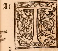 Picture 306 of 756 from The Holie Bible : conteynyng the Olde Testament and the Newe (1568), leaf 520