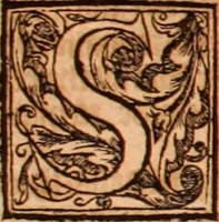 Picture 318 of 756 from The Holie Bible : conteynyng the Olde Testament and the Newe (1568), leaf 551