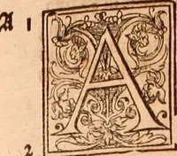 Picture 319 of 756 from The Holie Bible : conteynyng the Olde Testament and the Newe (1568), leaf 552