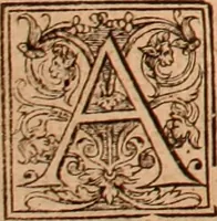 Picture 321 of 756 from The Holie Bible : conteynyng the Olde Testament and the Newe (1568), leaf 555