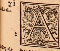 Picture 332 of 756 from The Holie Bible : conteynyng the Olde Testament and the Newe (1568), leaf 578