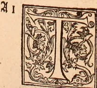 Picture 341 of 756 from The Holie Bible : conteynyng the Olde Testament and the Newe (1568), leaf 610