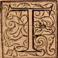Picture 344 of 756 from The Holie Bible : conteynyng the Olde Testament and the Newe (1568), leaf 621