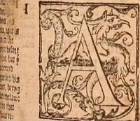 Picture 358 of 756 from The Holie Bible : conteynyng the Olde Testament and the Newe (1568), leaf 650