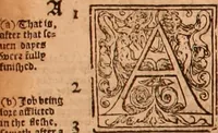An illustration from The Holie Bible : conteynyng the Olde Testament and the Newe (1568)